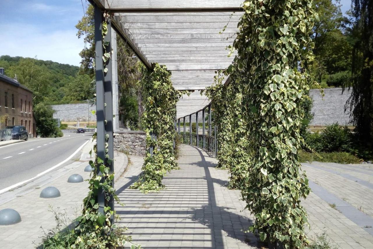 Chalet Siesta Is Rust & Natuur In Durbuy - Barvaux-Sur-Ourthe Exterior foto